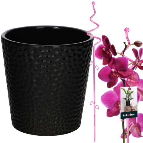 CRESCITA OTTIMALE DELLE piante con vasi per orchidee in plastica