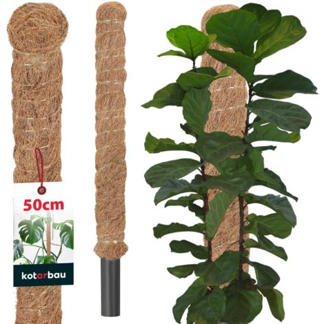 KOTARBAU® Tuteur Plante - Tuteur Coco - ⌀ 3.2 x 50 cm - Fibre de Coco - Tuteurs pour Monstera - Marron - pour Plantes Grimpantes