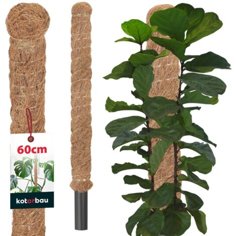 KOTARBAU® Tuteur Plante - Tuteur Coco - ⌀ 3.2 x 60 cm - Fibre de Coco - Tuteurs pour Monstera - Marron - pour Plantes Grimpantes