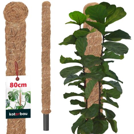KOTARBAU® Tuteur Plante - Tuteur Coco - ⌀ 3.2 x 80 cm - Fibre de Coco - Tuteurs pour Monstera - Marron - pour Plantes Grimpantes