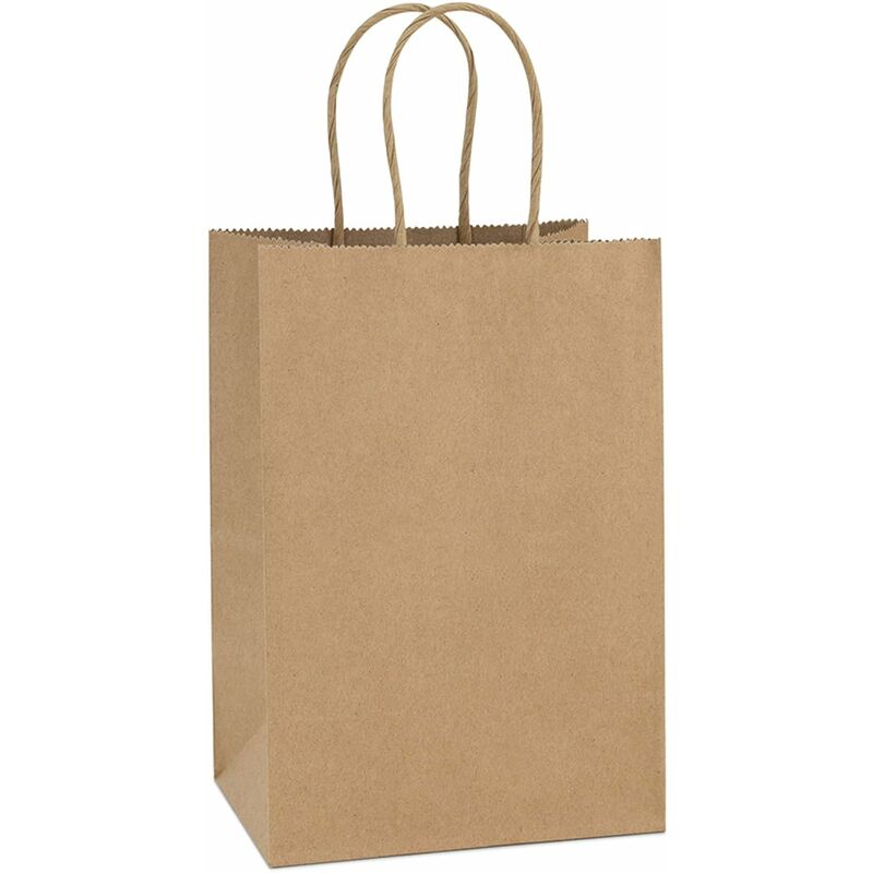 Kraft Paper Bags 100pcs 5.25 x 3.75 x 8 inch small paper gift bags
