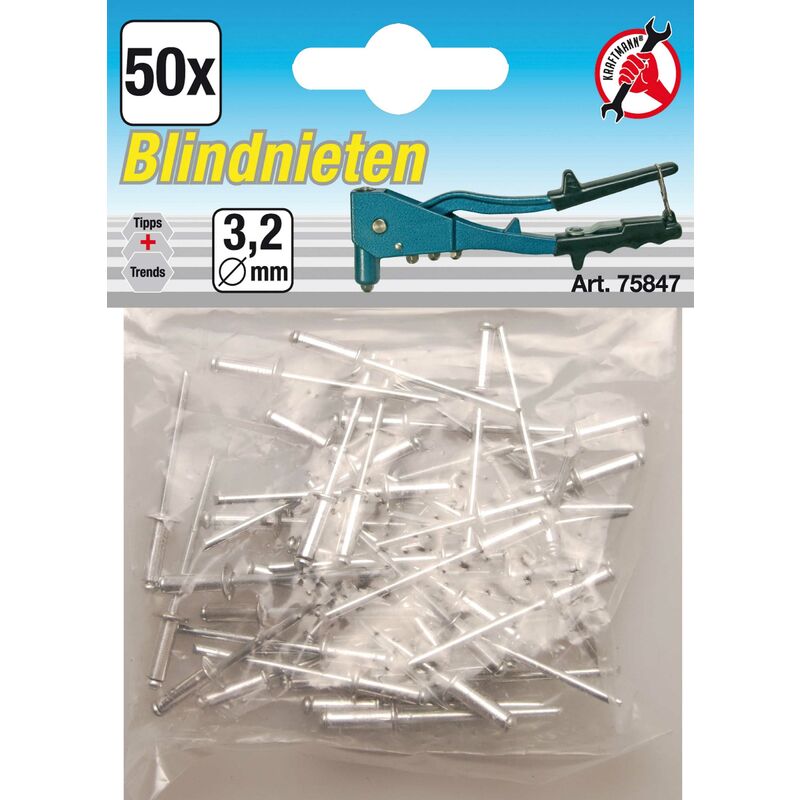 

Bgs Diy 75847 | Surtido De Remaches Ciegos | Ø 3,2 Mm | 50 Piezas