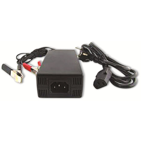 ladegerät lifepo4 12v 10a