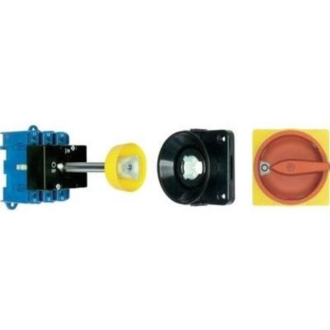 Kraus & Naimer KG64B.T203/09.VE Sezionatore con blocco porta 63 A 1 x 90 ° Rosso, Giallo 1 pz.