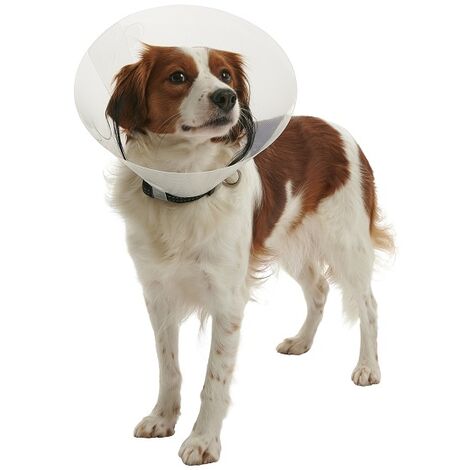 Kruse transparent Isabelto Halskette Buster Klick, 12,5 cm, Hunde von 5 bis 10 kg, 1 UD