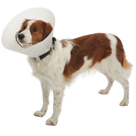 KRUUSE Collar Isabelino Opaco BUSTER CLASSIC, 10 cm Perros de 3 a 5 Kg, 10 uds