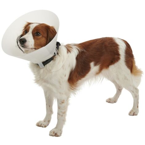 KRUUSE Collar Isabelino Opaco BUSTER CLASSIC, 20 cm 15 a 25 Kg, 10 uds