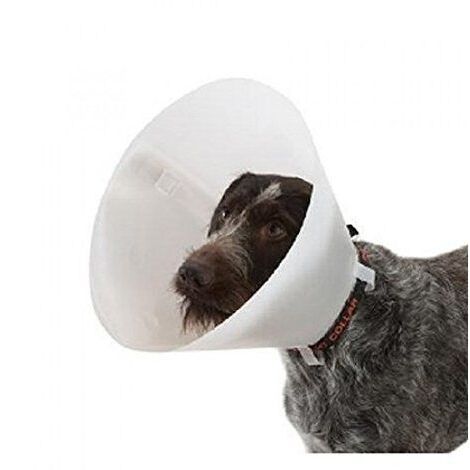 Kruuse Transparent Isabelto Necklace Buster Click, 12,5 cm, cani da 5 a 10 kg, 10 unitМК