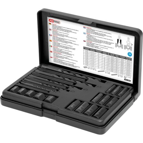 KS Tools 150.1305 Serie di Estrattori, 25 Pezzi