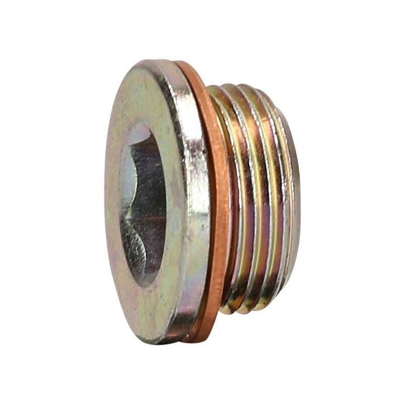 Vite di scarico olio M22 x 1,5 x 13 mm per Iveco