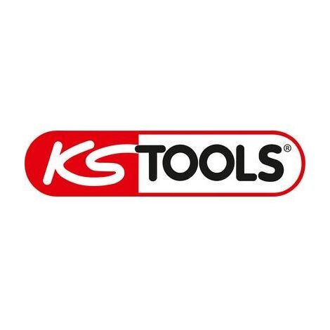 KS TOOLS 911.7560 EMBOUT DE VISSAGE 6 PANS 2,5 MM ENTRAÎNEMENT 6,35 MM LONGUEUR 75 MM 4042146054802