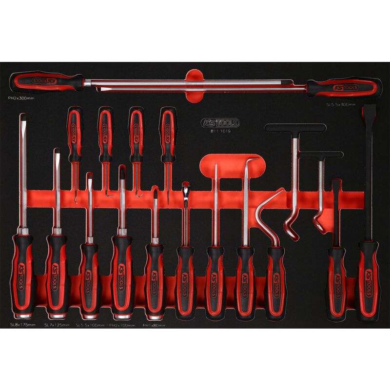 

KS TOOLS Juego de destornilladores y ganchos en inserto de gomaespuma, 19 pzs