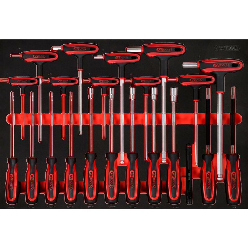 

Kstools - KS TOOLS Juego de mangos en T y destornilladores en inserto de gomaespuma, 22 pzs