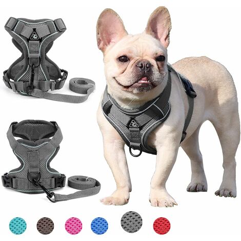 kueatily Harnais pour chien de petite et moyenne taille (Gris L)