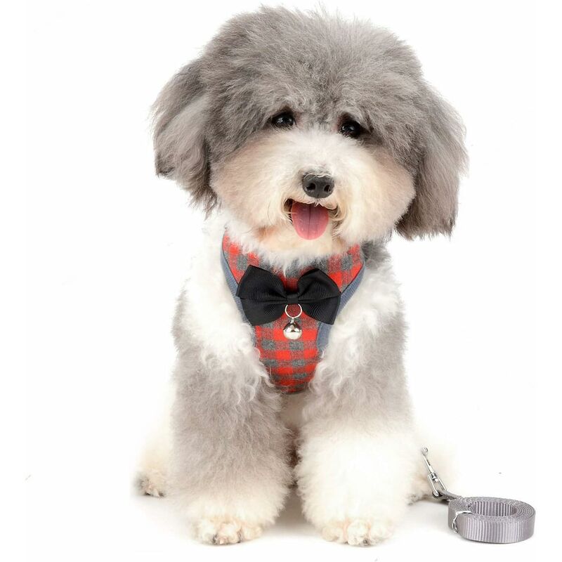 Kueatily - Harnais sans tension pour petit chien (rouge M)