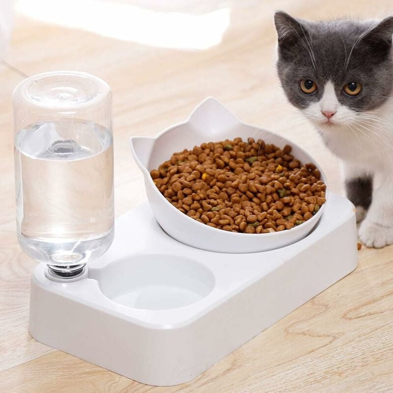 Kueatily - Lot de 2 gamelles d'eau et de nourriture, distributeur d'eau automatique avec gamelle de nourriture, pour chiens et chats de petite taille