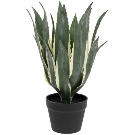 Künstliche Agave