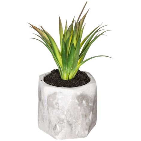 Künstliche Fettpflanze - Zementtopf - H14 cm
