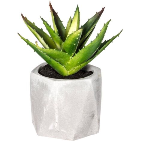 Künstliche Fettpflanze Zementtopf H14cm - Model 1