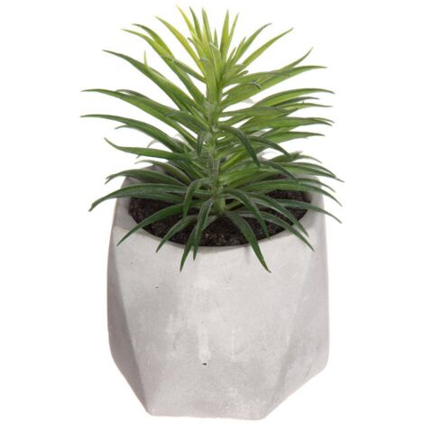 Künstliche Fettpflanze Zementtopf H14cm - Model 2