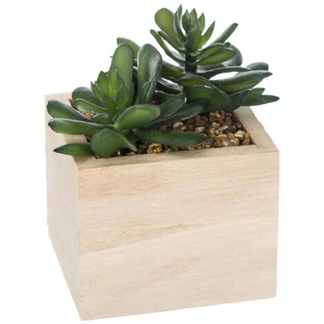 Künstliche Pflanze H14cm - Geformte 2