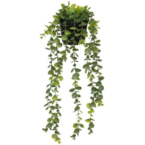 Künstlicher Eukalyptus im Topf Merly grün H51cm - Dunkelgrün