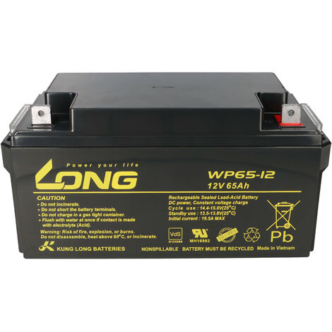 Kung Long WP65-12 12V 65Ah Pb Batterie Bleigel VDS AGM