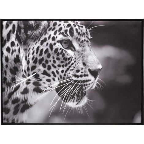 Kunstdruck Leopard gerahmt 58x78 cm