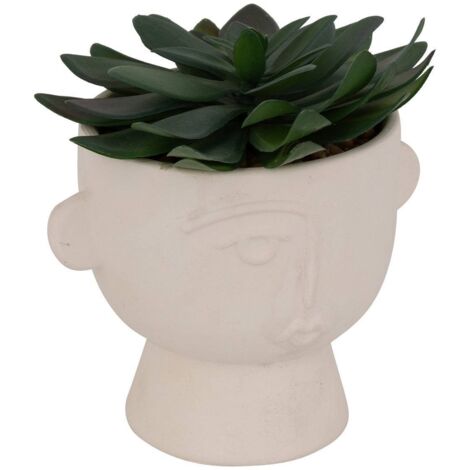 Kunstpflanze Dusty H16cm -