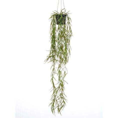 Kunstpflanze Hoya Hängend im Topf 80 cm Emerald