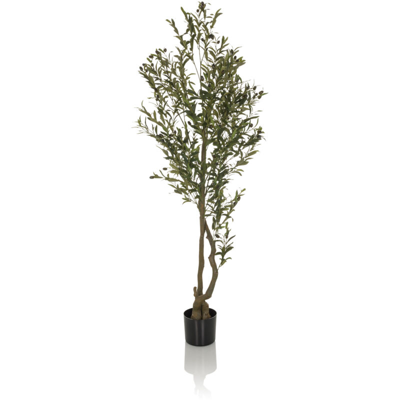 Kunstpflanze / Kunstbaum Olive I 172 Cm Grün Hjh Office
