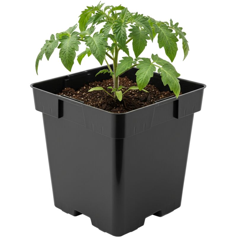 Garronda Pflanztopf Kunststoff 16 X 16 X 16 Cm (3l) Eckig Mit Drainagelöchern Blumentopf Robust Pflanzentopf Für Garten Gewächshaus Balkon Anzucht