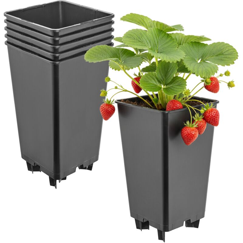 Garronda Blumentopf Pflanztopf Kunststoff Mit Standfüßen 12 X 12 X 21 Cm (2l) 5er Set Für Erdbeeren Und Himbeeren, Kulturtopf Mit Drainage Für