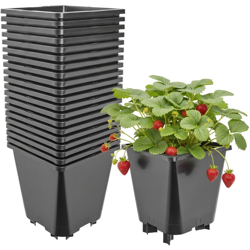 Garronda Blumentopf Pflanztopf Kunststoff Mit Standfüßen 19, 5 X 19, 5 X 21 Cm (5l) 20er Set Für Erdbeeren Und Himbeeren, Kulturtopf Mit Drainage