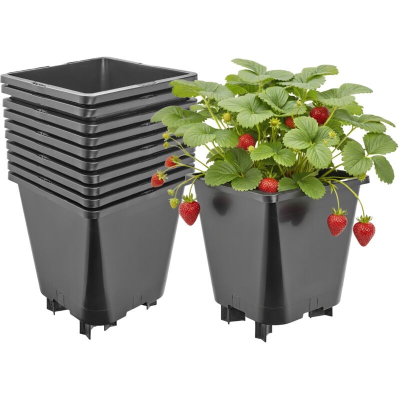 Garronda Blumentopf Pflanztopf Kunststoff Mit Standfüßen 19, 5 X 19, 5 X 21 Cm (5l) 10er Set Für Erdbeeren Und Himbeeren, Kulturtopf Mit Drainage