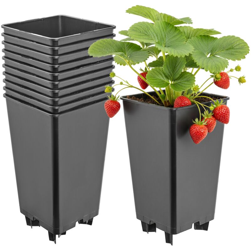 Garronda Blumentopf Pflanztopf Kunststoff Mit Standfüßen 12 X 12 X 21 Cm (2l) 10er Set Für Erdbeeren Und Himbeeren, Kulturtopf Mit Drainage Für