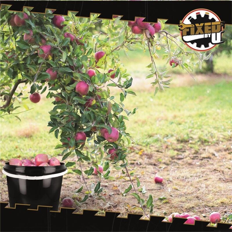 Seau avec couvercle 10 litres en noir - 5 pièces