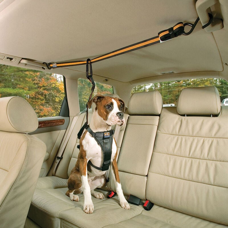 

KURGO Cinturon de coche para mascotas auto zip line c/correa de amarre kurgo
