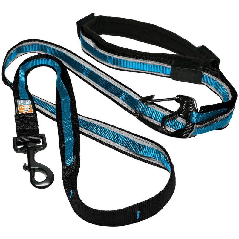 

Correa para Perros Reflectante 6 en 1 Negro y Azul - Multicolor - Kurgo