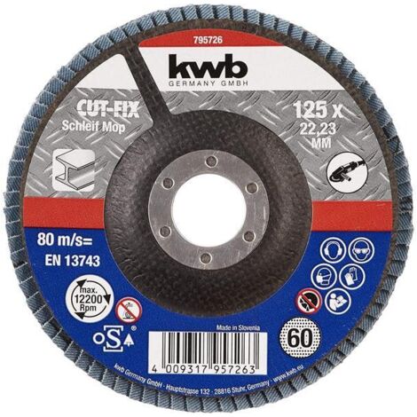 KWB discs laminas. 125x22mm g60 49795726 , Discos Láminas. 125X22Mm G60 de la marca Einhell.