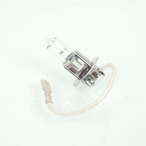 Kyoto-Glühbirne für Auto 12 V 100 W PK22S, neu