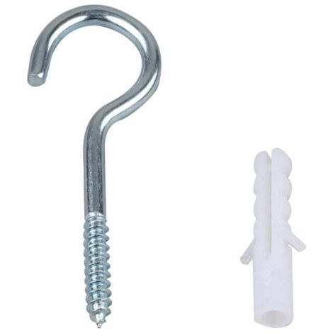 KZQ - 10 ganchos de acero inoxidable para techo, con ojal, con kit de 10 anclajes, para lámparas de araña y manualidades