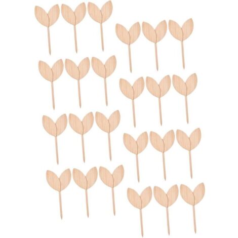 KZQ 40 Etichette in legno per piante, Etichette per fioriere succulente, Etichette in legno per piante da giardino, Marcatori per piante da giardino.