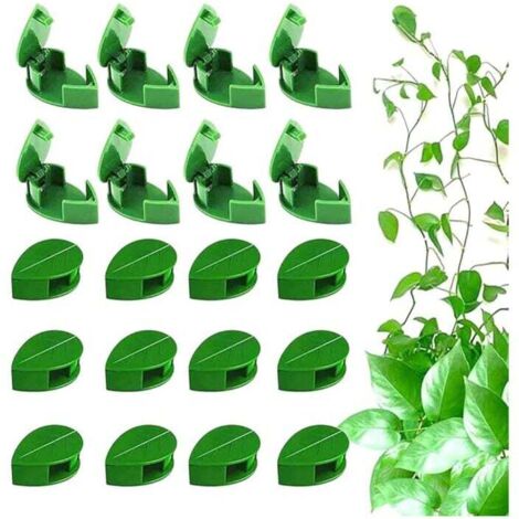 KZQ - 50 clips para plantas trepadoras, autoadhesivos, invisibles, para pared, hojas