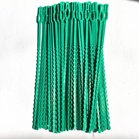 KZQ Bridas para plants, 100 unità, 22 cm, per facilitare la dissotterramento e la preparazione delle piante.