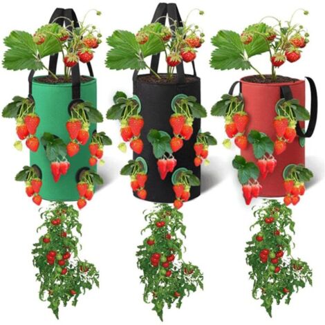 KZQ Confezione da 3 sacchetti per piante sospesi, sacchetti per la coltivazione di piante con 12 fori, sacchetti per la semina traspiranti per fragole, erbe aromatiche, fiori, verdure, 20 cm-35 cm (ro