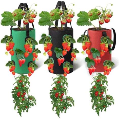 KZQ - Paquete de 3 bolsas colgantes para cultivo de plantas, con 12 agujeros, transpirables, para fresas, hierbas, flores y verduras, 20 cm x 35 cm (rojo, negro y verde)