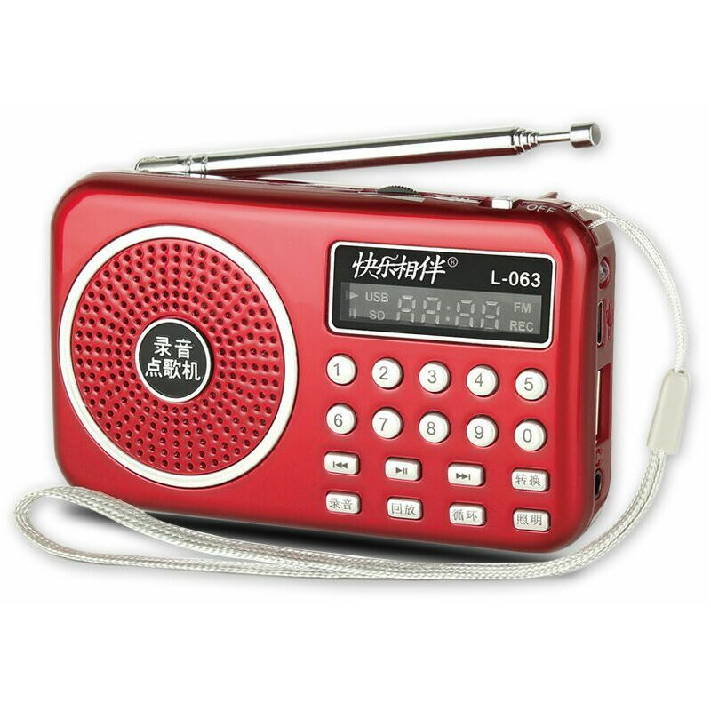 L-238 Portable Radio FM / AM (MW) / SW / USB / Micro-SD / MP3, Radio Set with Large Buttons and Large Screen, Rechargeable Portable Radio 800 mAh