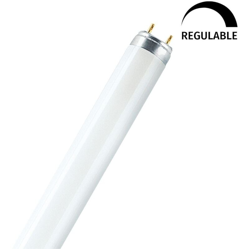 

TUBO FLUORESCENTE BASIC L36/865-36W - Osram