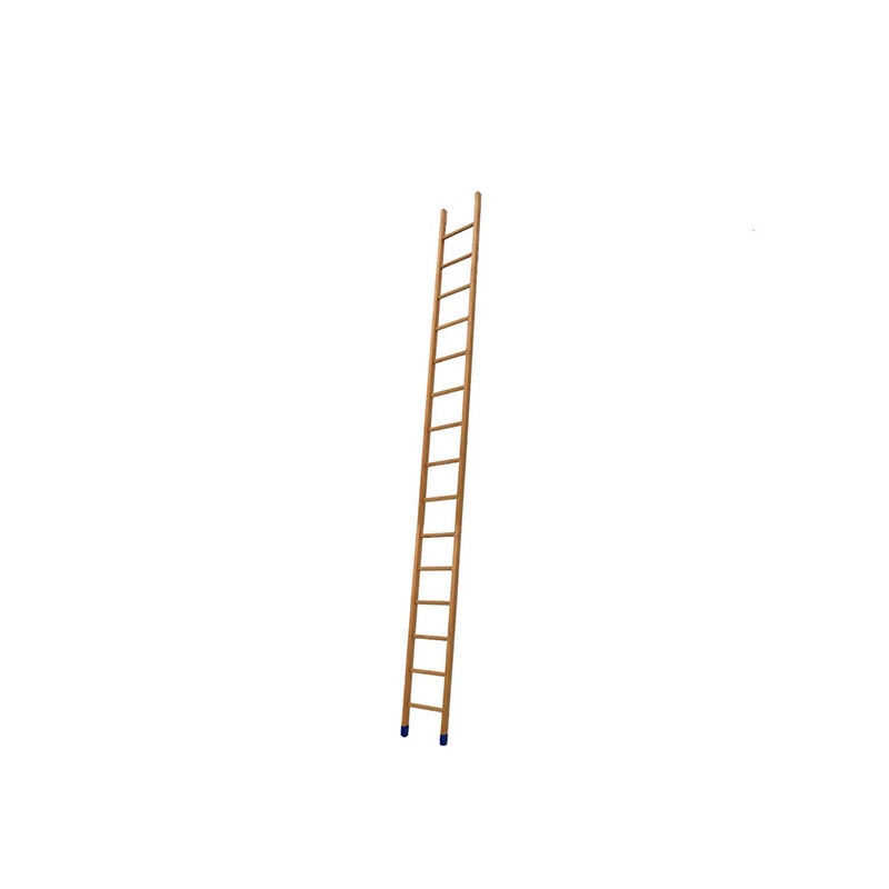 Echelle Direct - Echelle de meunier 13 marches - Hauteur à atteindre 3.22m - BSMEN-350